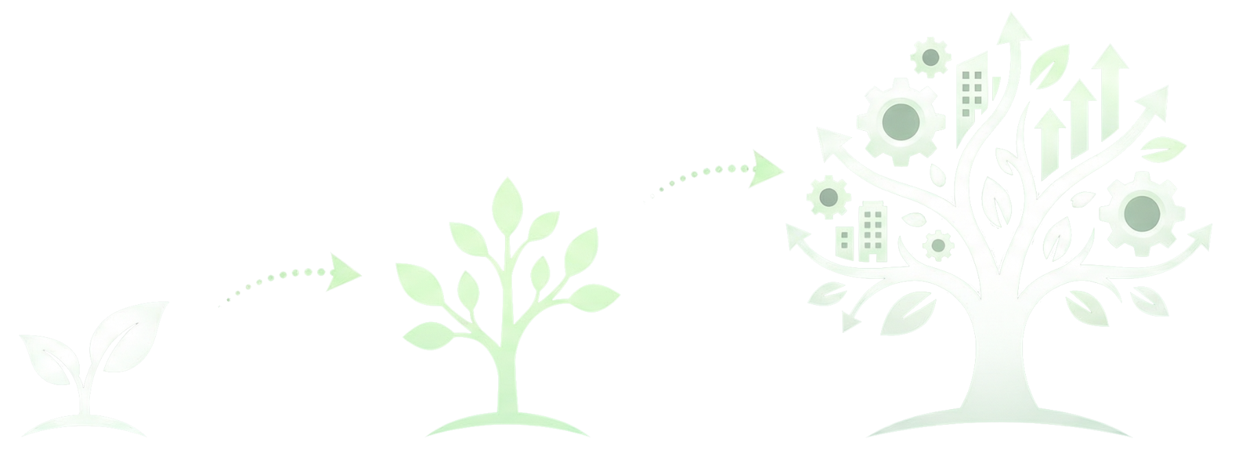 Small Company to Great Company Growth